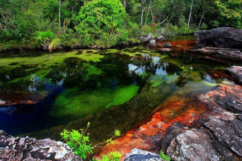 Karena kaya flora dan fauna sungai ini terlihat berwarna - warni