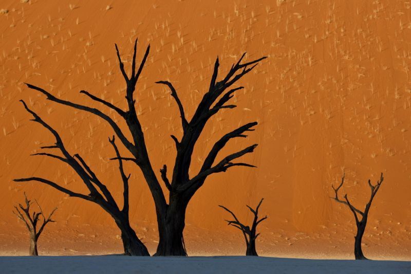 Deadvlei, Namibia