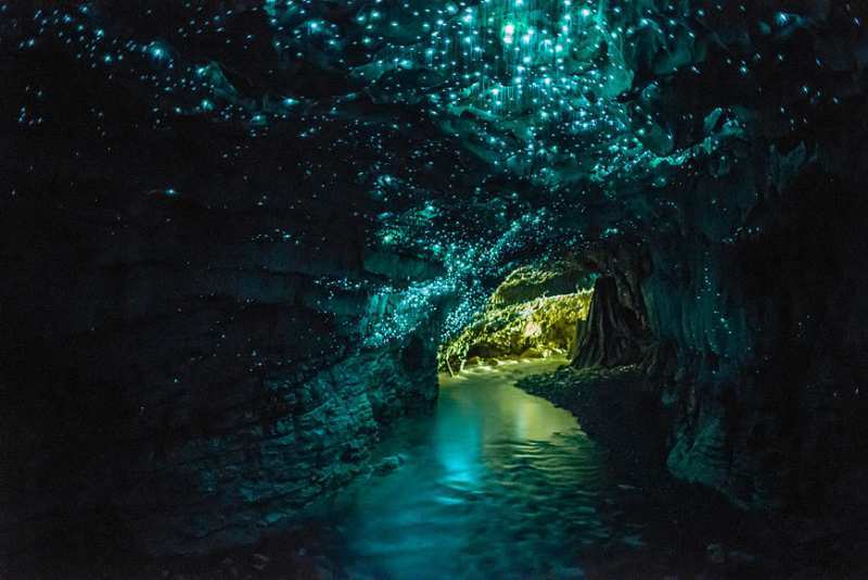 Ini keadaan gua Glowworm Caves di Waitomo