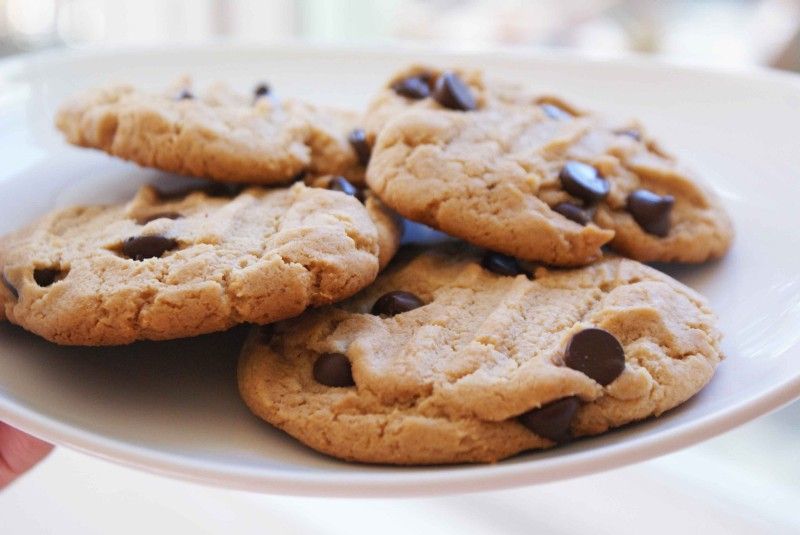 Chocolate Chip Cookie