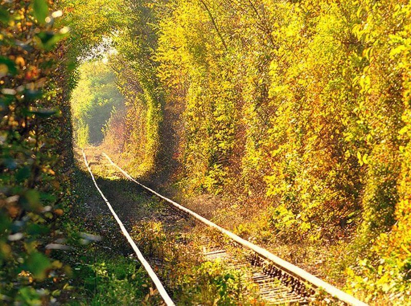 Tunnel of Love di pagi hari