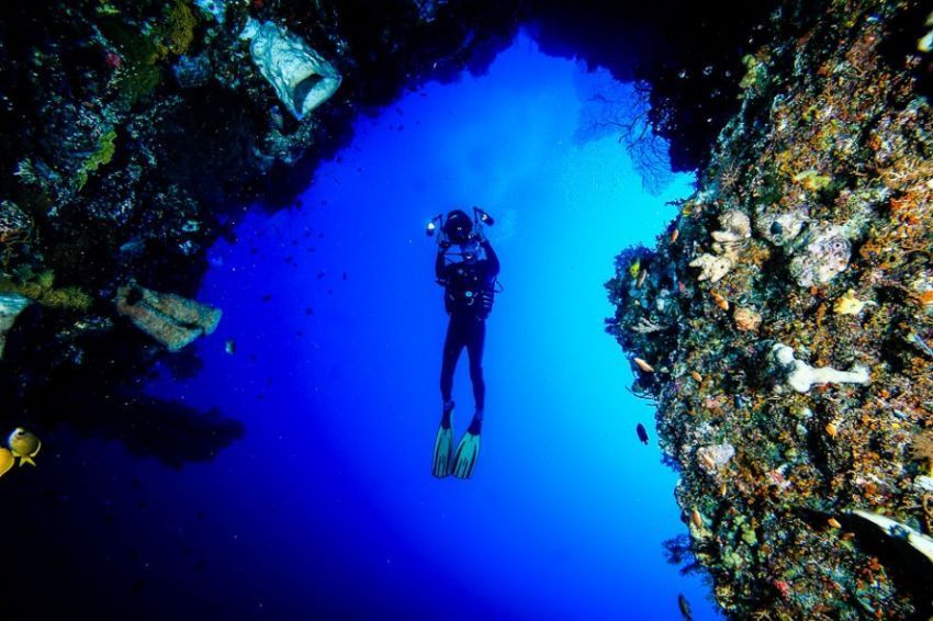 Surga bawah laut Wakatobi