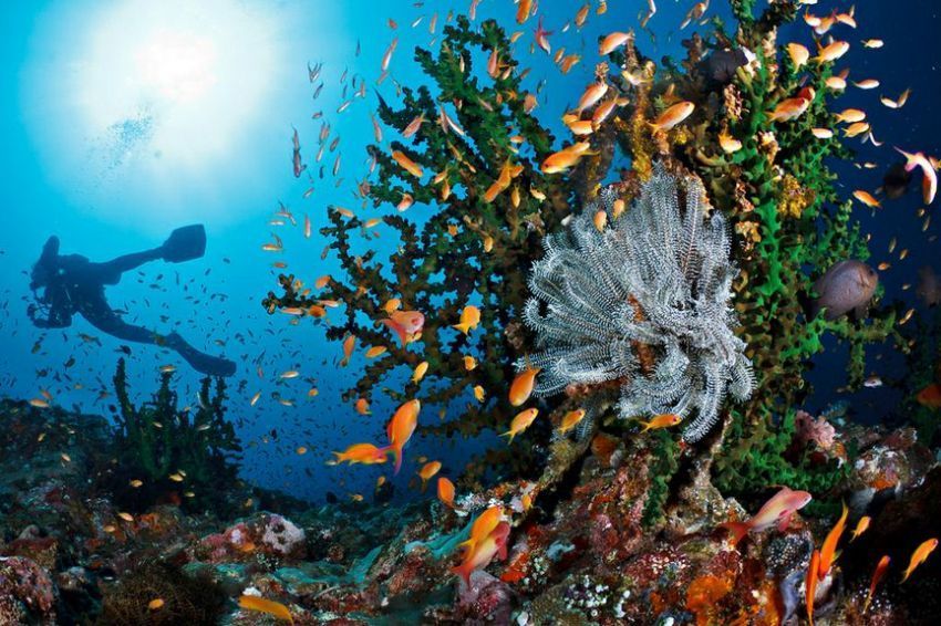 Diving spot di Pulau Weh.