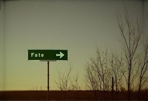 Fate