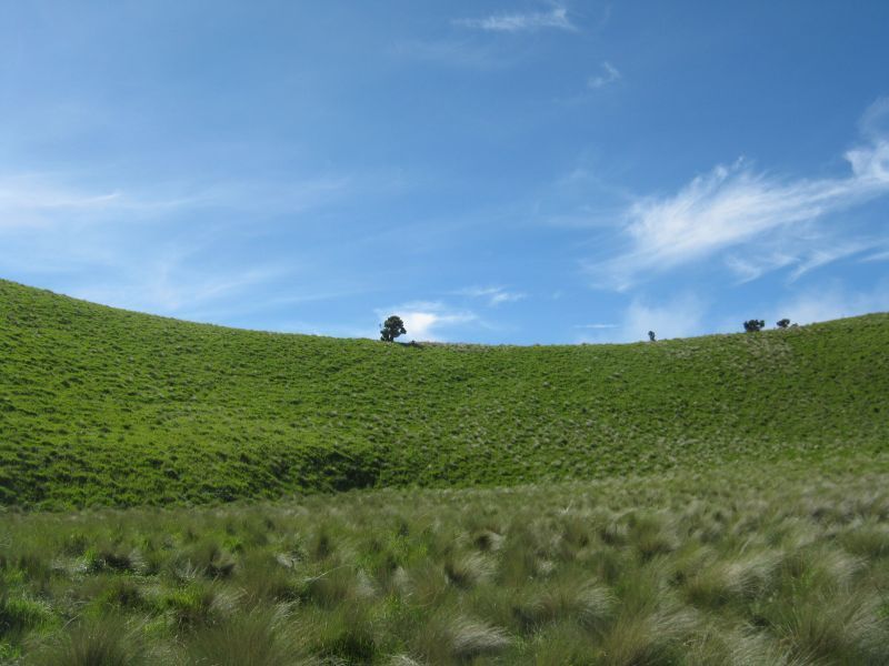 Bukit Teletubies Merbabu