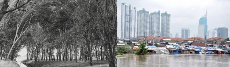 Karet Tengsin, Dulu dan Sekarang