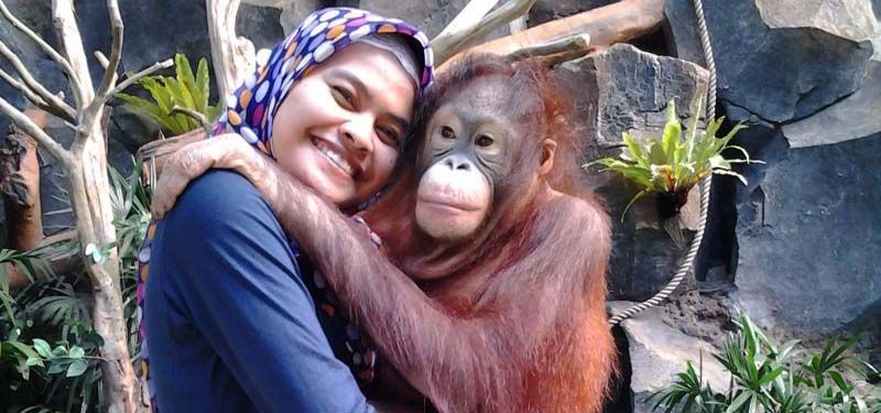 Yuk, Kenalan Sama Orang Utan Paling Terkenal di Indonesia!