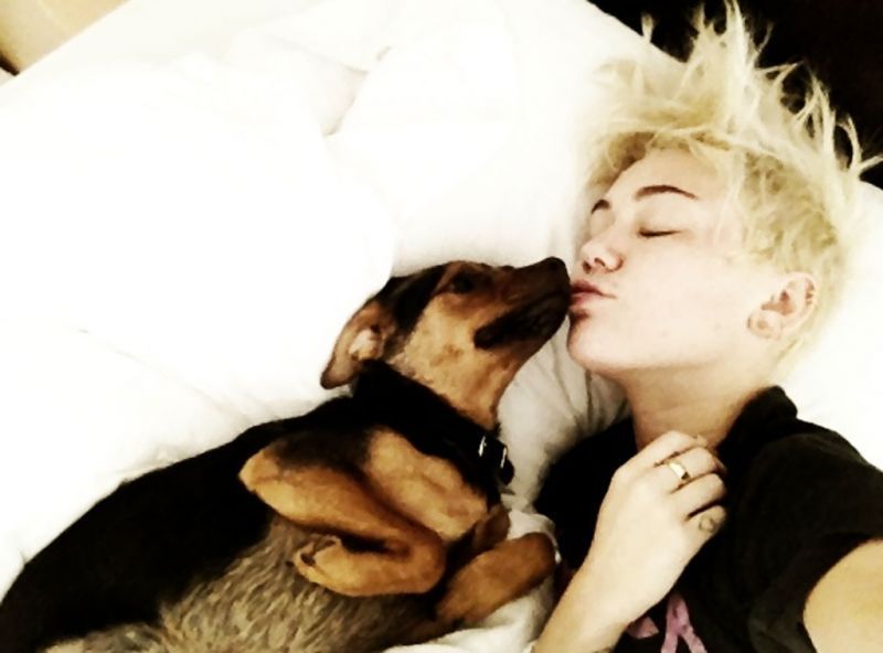 Miley dan anjing