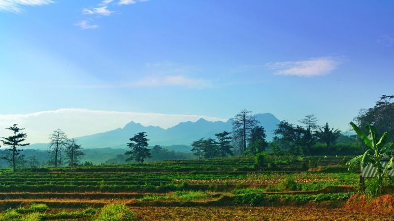 Gunung Slamet yang terlihat dari daerah Guci