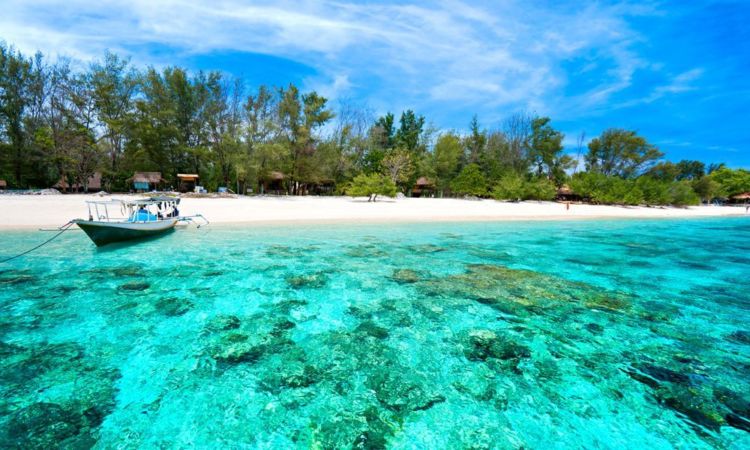 Negara dengan garis pantai terpanjang di dunia