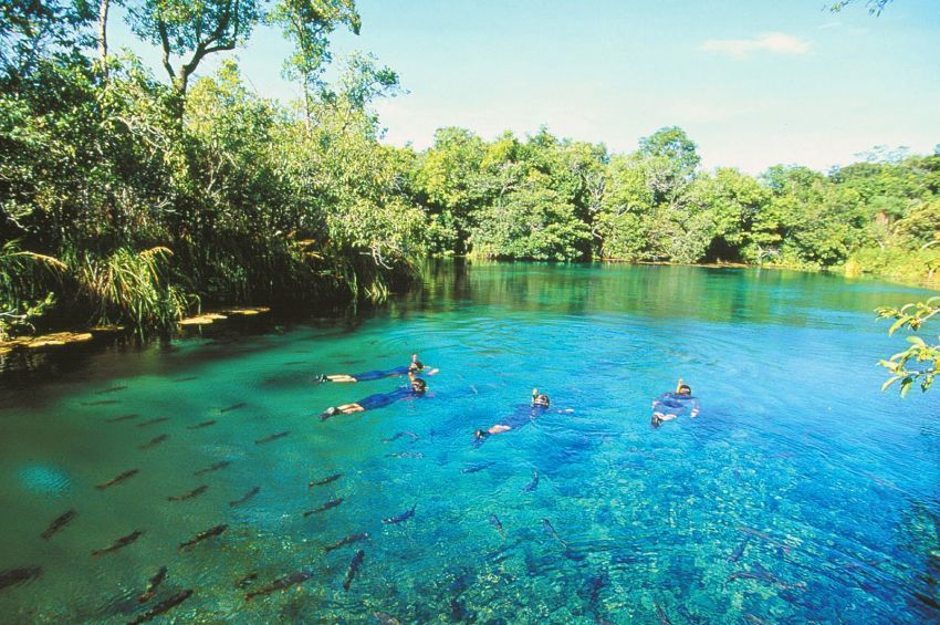 Bonito Mato Grosso do Sul | Foto: Haroldo Palo Jr