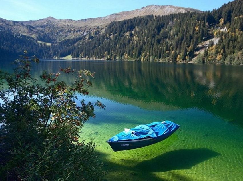 Arnensee, Swiss