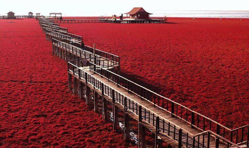 Pantai pasir merah, Cina