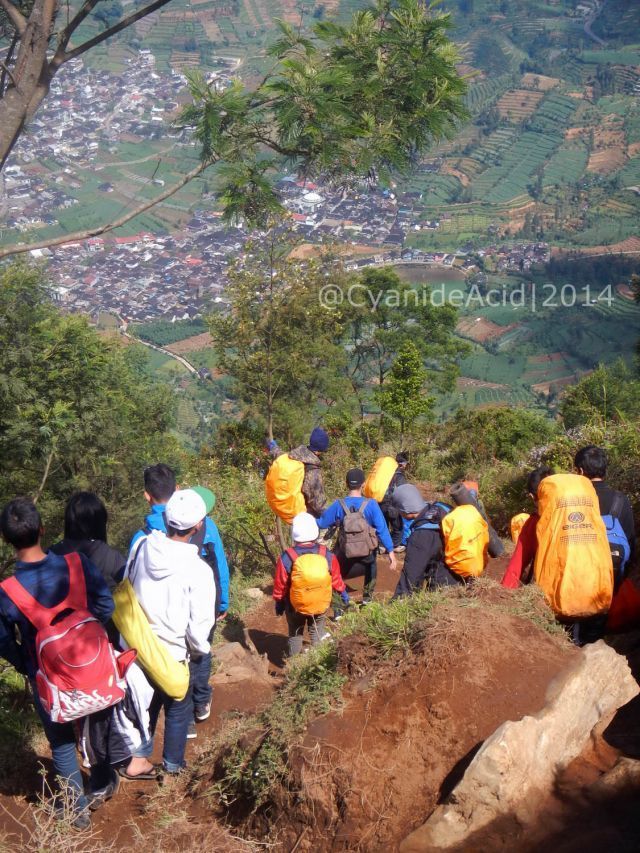 Pulang rame-rame (Foto: Paulus RIsang)