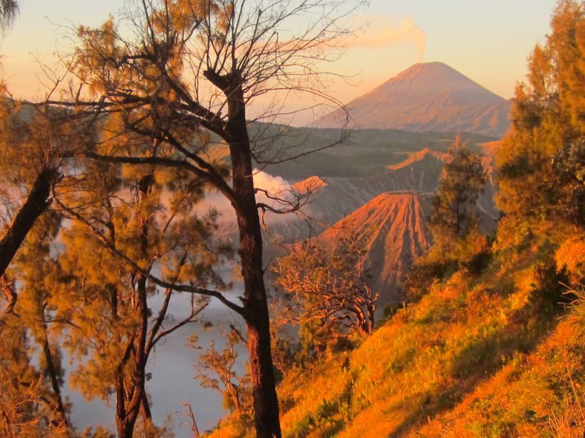 Kamu ingin membagi pemandangan indah ini dengannya