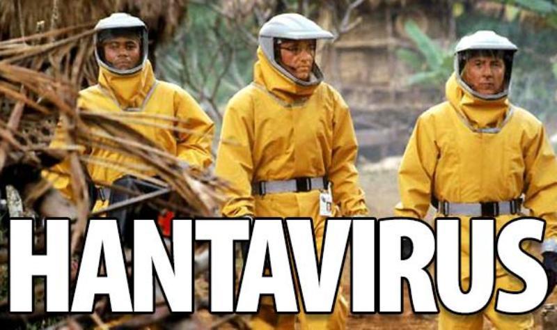 hantavirus