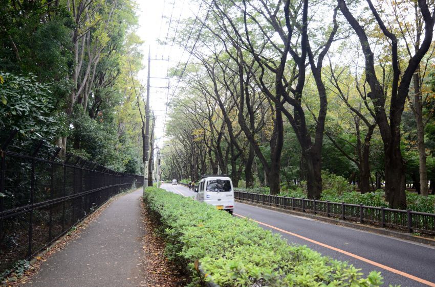 bikin adem jalan dan lingkungan sekitar