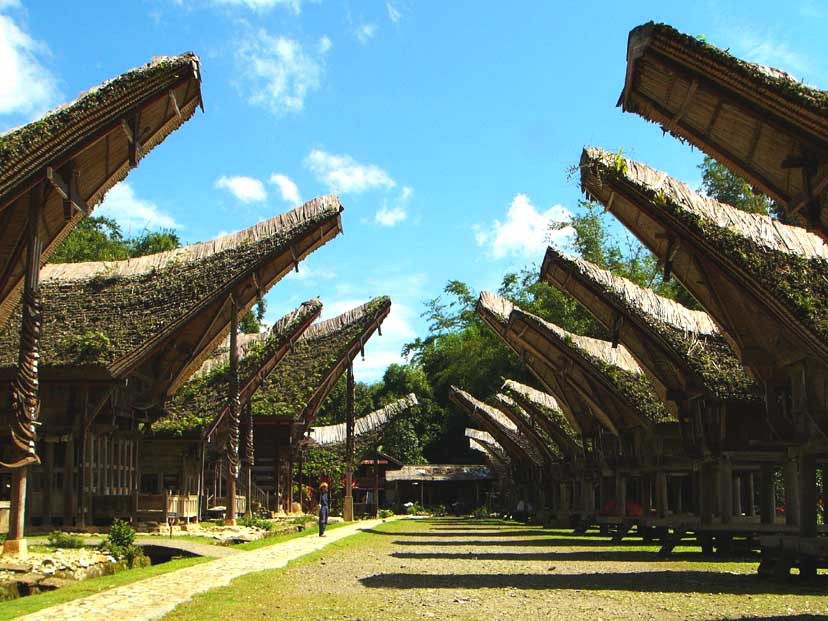 Barisan Tongkonan di Kete Kesu