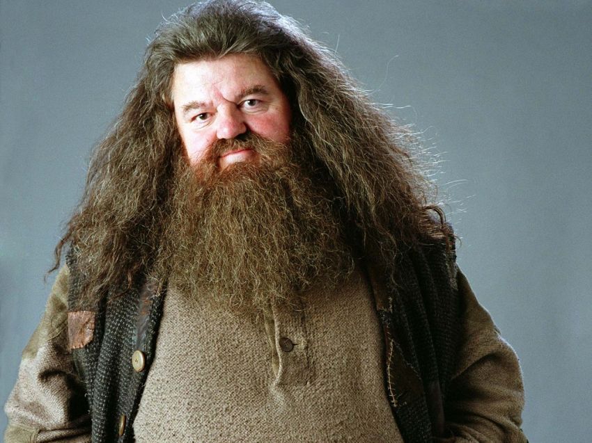 Malah jadi Hagrid