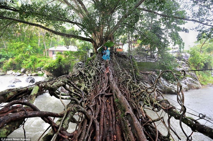 Yang gini ga ada di rumah