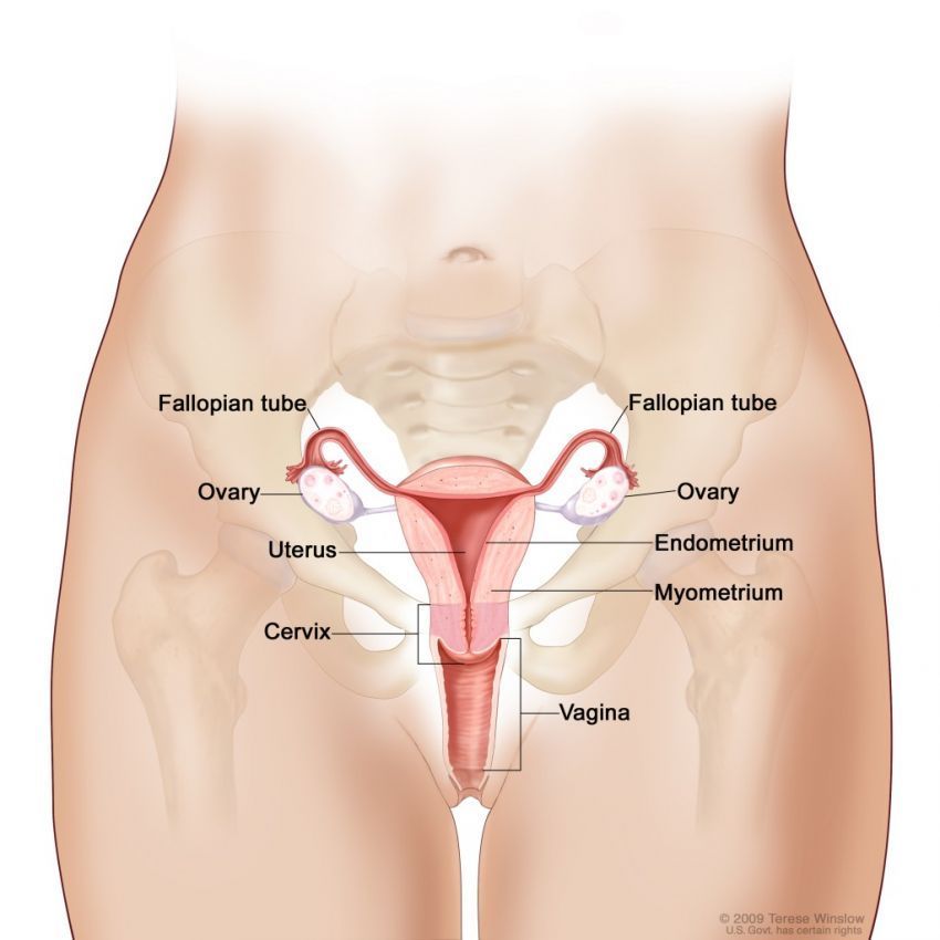 Vaksin HPV sebaiknya dilakukan pada yang belum pernah melakukan hubungan seksual