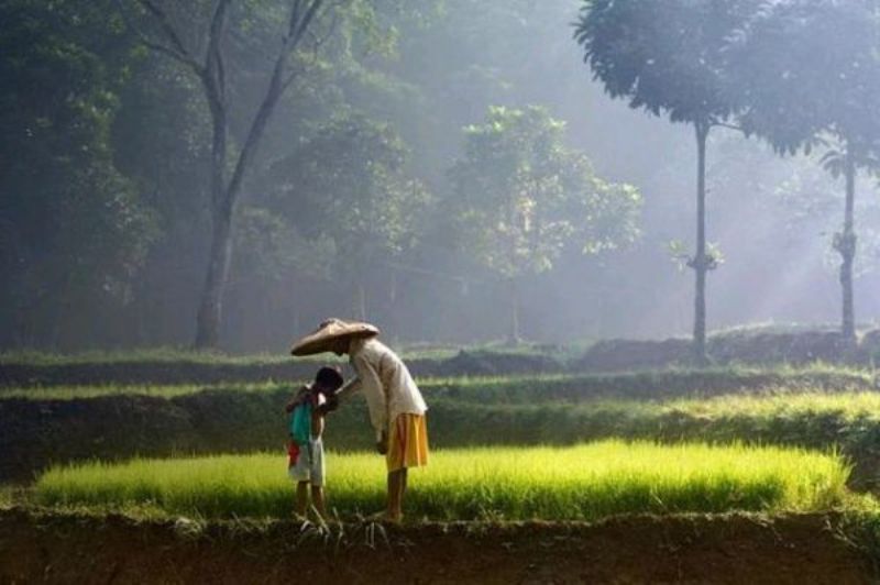 Semoga mereka bahagia