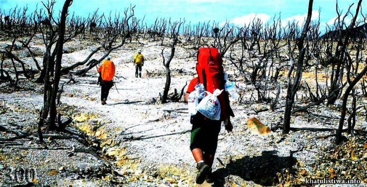 Hutan mati Gunung Papandayan