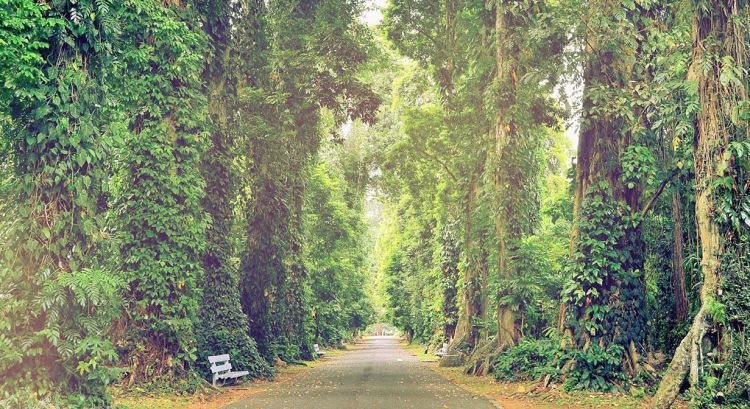 Taman rekreasi Indonesia ala Disneyland