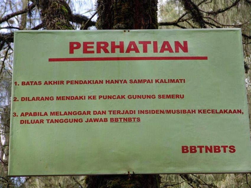 Kalimati adalah titik terakhir pendakian