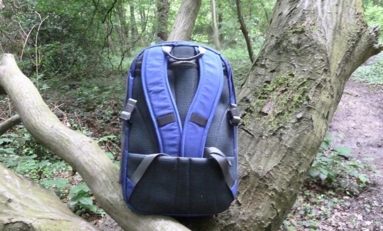 Daypack 20L