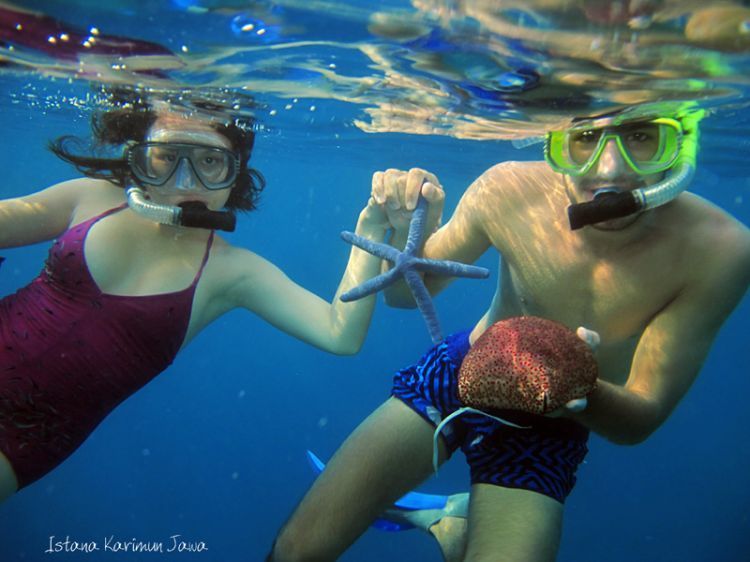 Snorkeling di Karimunjawa