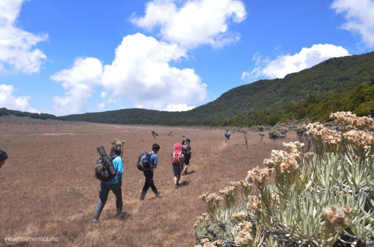 Alun-alun Surya Kencana Gunung Gede