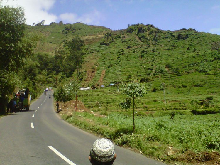 Perjalanan Darat Dieng-Wonosobo tidak akan membuatmu bosan