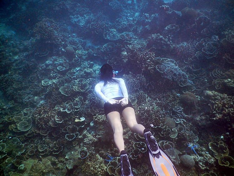 Snorkeling di Pulau Badul