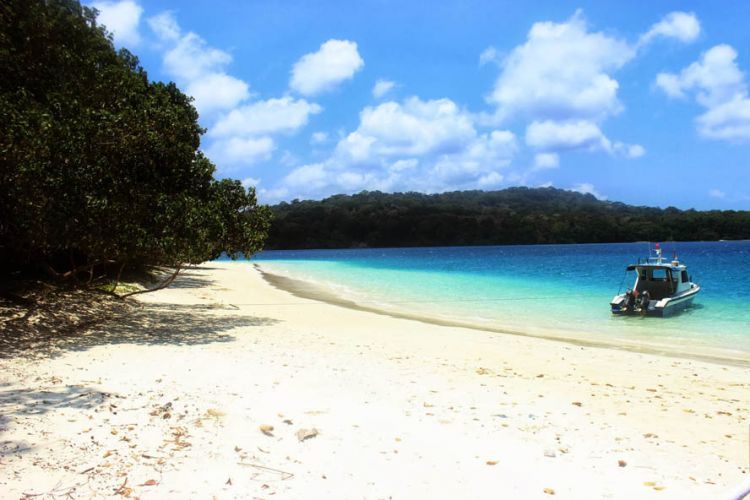 Pantai di Pulau Peucang