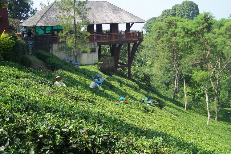 Tempat Wisata di Malang