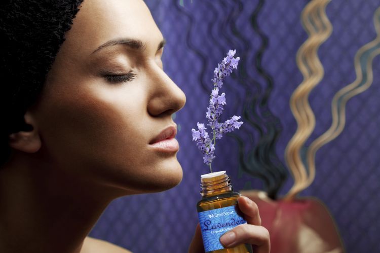 Aroma lavender bisa menenangkan kamu