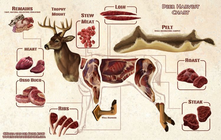 Lebih sehat daripada kambing dan sapi