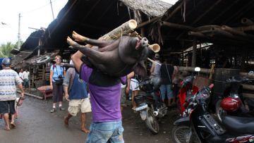 12 Pasar Unik Dari Berbagai Daerah yang Menunjukkan Betapa Kayanya Negeri Kita