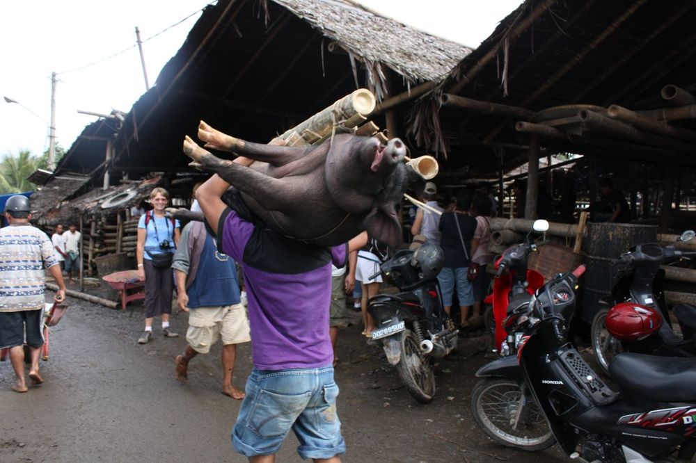 12 Pasar Unik Dari Berbagai Daerah yang Menunjukkan Betapa Kayanya Negeri Kita