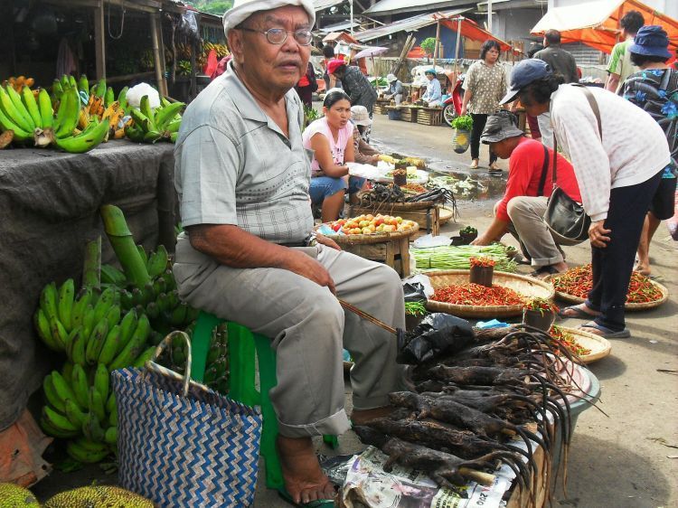 Jualan tikus bakar adalah hal yang lumrah di Tomohon