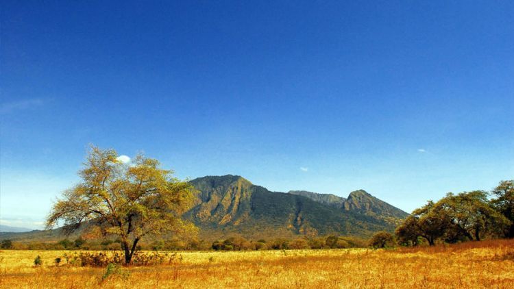 Kawah Ijen & Baluran: Menikmati Pesona Api Biru dan Afrika Ala Jawa Timur