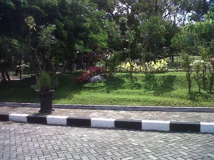 taman cinta dekat KOPMA