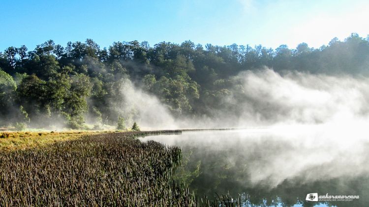 Danau Taman Hidup di Argopuro