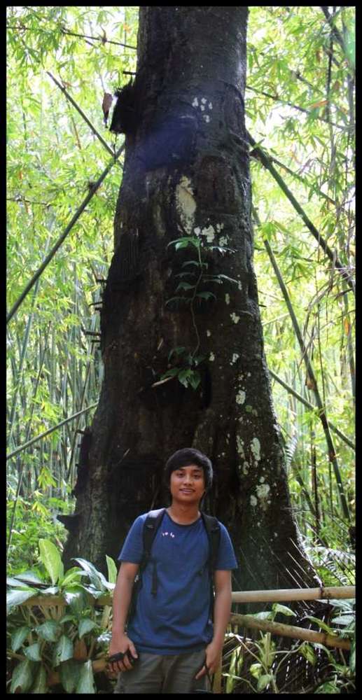 kambira toraja