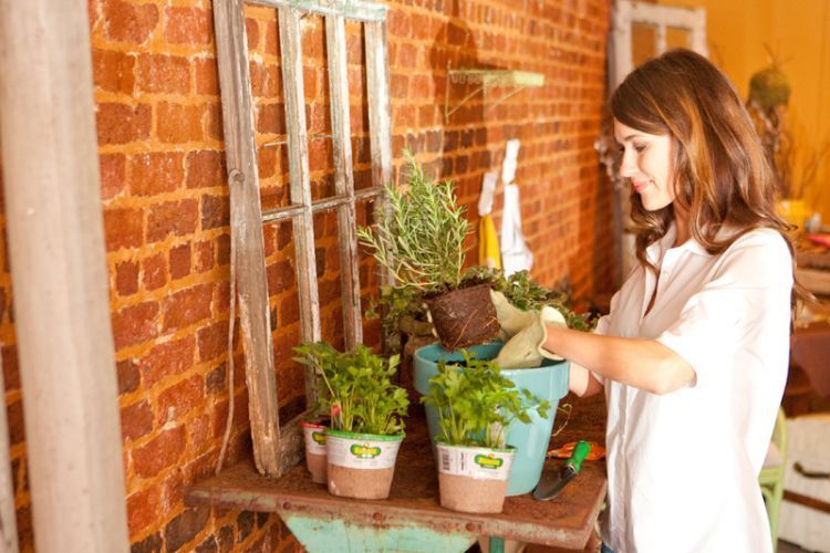 Berkebun bisa memperat keluarga