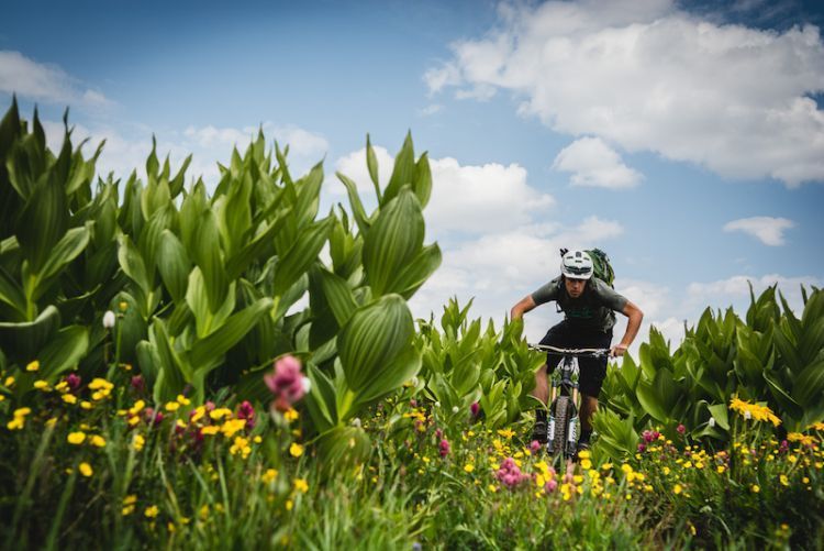 Bike on nature