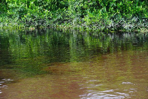 Sungai yang tercemar air, foto oleh Aji Wihardandi