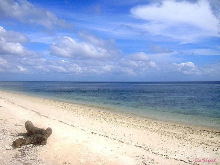 Destinasi wisata Wakatobi