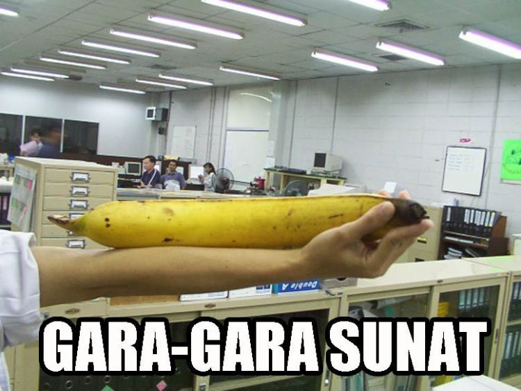 Jadi gede gara-gara sunat.